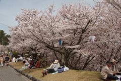 05-Park near Senkö-ji